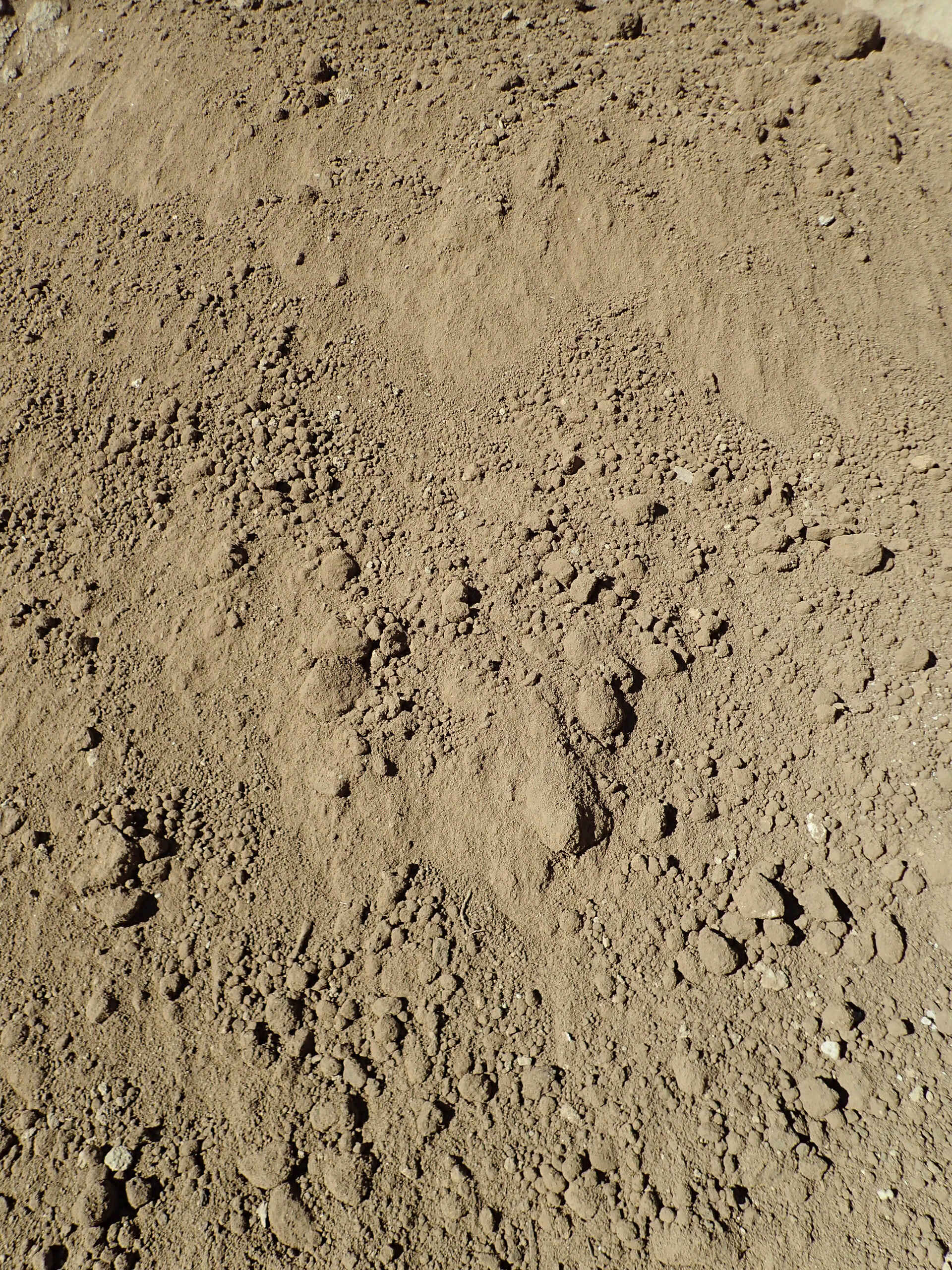 Miles Erbacher AG - Humus, Erden & Boden